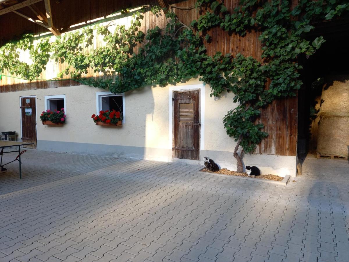 Petting Landhof Ella - Ferienhaus Vor Den Toren Salzburgs מראה חיצוני תמונה