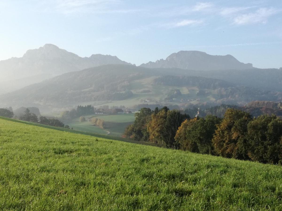 Petting Landhof Ella - Ferienhaus Vor Den Toren Salzburgs מראה חיצוני תמונה